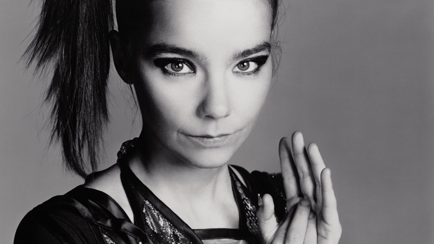 Le portrait de Björk